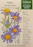 Prairie Aster Botanic Gardens Series Seeds 120 Seeds