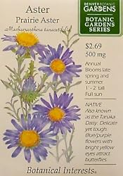 Prairie Aster Botanic Gardens Series Seeds 120 Seeds