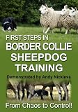 First Steps In Border Collie Sheepdog Training