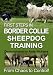 First Steps In Border Collie Sheepdog Training [DVD]