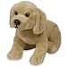 Kids Preferred Asthma and Allergy Friendly Yellow Labrador