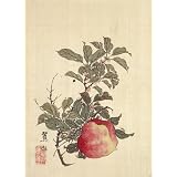 Apple, Pink Blossom and Foliage, by Shorin (Print On Demand)