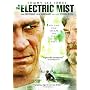 In the Electric Mist