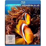 Korallenriff Aquarium in HD - Die Unterwasserwelt der Fidschis [Blu-ray]von "-"