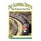 Take Your First Amtrak Train Trip!