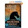 The Murder Hole: Jean Fairbairn/Alasdair Cameron Series, Book 2