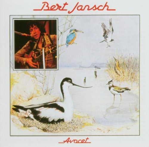 Produkt-Bild: Avocet