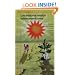 Los mejores relatos Latinoamericanos (Juvenil Alfaguara) (Spanish Edition)