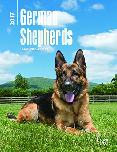 German Shepherds 2017 Calendar (Multilingual Edition)