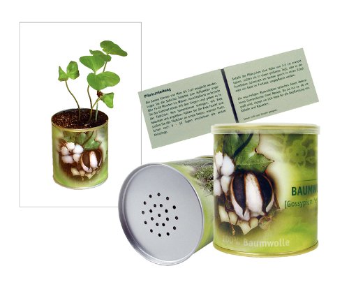 Greenhouse Baumwolle