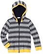 Splendid Littles Toddler Boys Multi-lined Stripe Hoodie