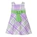 Baby : Circo Purple Plaid Easter Dress - 4T
