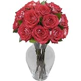 One Dozen Red Delicious Roses without Vase