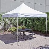 10 x 10 Aluminum Frame Canopy