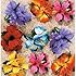 Hula Girl Flower Lei Hair clip (12 pack)