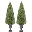 Pre-Lit Noble Porch Tree Set of 2 - 4.5'