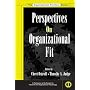 Perspectives on Organizational Fit (Siop Organizational Frontiers)