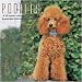 poodle42 - Poodles 2010 Wall Calendar