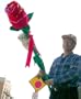 Giant Stuffed Rose Is 6-feet Tall with I Love You Teddy Bear Wrapped Around Stem - Big Valentine Valentines Day or Any Day Love Gift