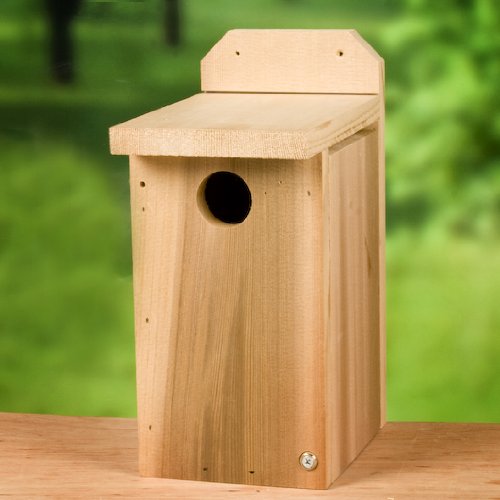 Heath Bluebird House - Lumber Construction