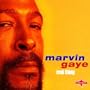 I Heard It Through The Grapevine - Live