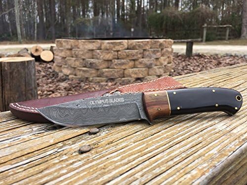 Olympus Blades Hand Made - Damascus Hunting Knife - Buffalo Horn & Wood Handle