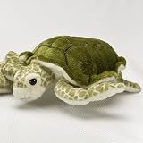 リアルぬいぐるみ アオウミガメ Sサイズ 環境問題