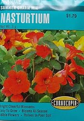 Nasturtium Summer Charm Mix Seeds 30 Seeds