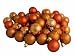96ct Burnt Orange Shatterproof 4-Finish Christmas Ball Ornaments 1.5" (40mm)