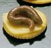 Bloody Banquet Butcher Shop - Finger Food - Worm