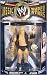 WWE Jakks Pacific Wrestling Classic Superstars Series 16 Action Figure Sycho Sid Vicious