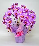 ���ŃL���C�ȋ�C�����I���G�}�Ӓ���(�s���N)