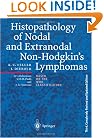 Histopathology of Non-Hodgkin's Lymphomas (Based on the Updated Kiel Classification)