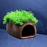 Flame Moss + Ceramic spawning cave - Aquarium Ornament Live plants fish tank **No pesticides**