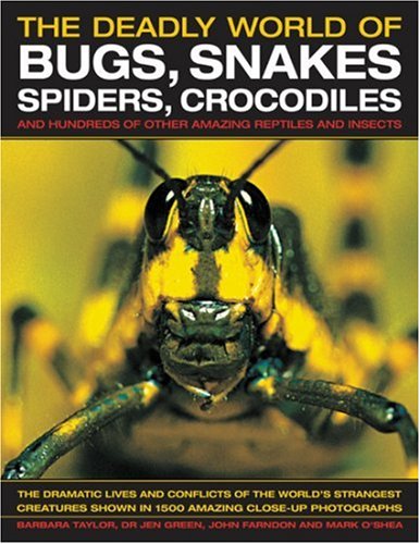 The Amazing World of Bugs, Snakes, Spiders, Crocodiles & Other Things: Discover the amazing world of reptiles and bugs, featuring more than 1500 fabulous wildlife photographs and illustrations