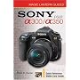 Magic Lantern Guides: SONY DSLR A300/A350