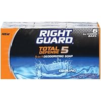 Right Guard Total Defense 5 Deodorizing Soap Cooling Bar, 6 Count