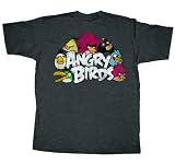 Angry Birds The Nest Charcoal Heather Adult T-shirt Tee