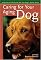 Caring for Your Aging Dog: A Quality-of-Life Guide for Your Dog's Senior Years