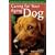 Caring for Your Aging Dog: A Quality-of-Life Guide for Your Dog's Senior Years