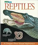 A look inside reptiles