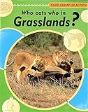Who eats who in grasslands?