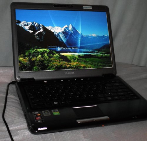 Toshiba Satellite Laptop (U405D S2874)