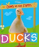 Ducks