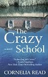 The Crazy School