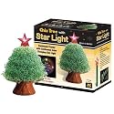 Chia Christmas Tree