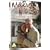 Maeve Binchy: The Anner House [DVD] [2008]