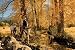 Eric's Fall Ride - Artist: Robert Dawson - Art Print Poster Size: 17.00 by 14.00 inches Image