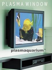 play video on Amazon Video on Demand