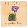 California Years